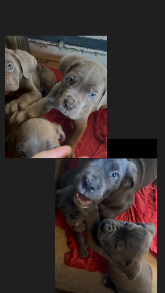 ***READY TO LEAVE***