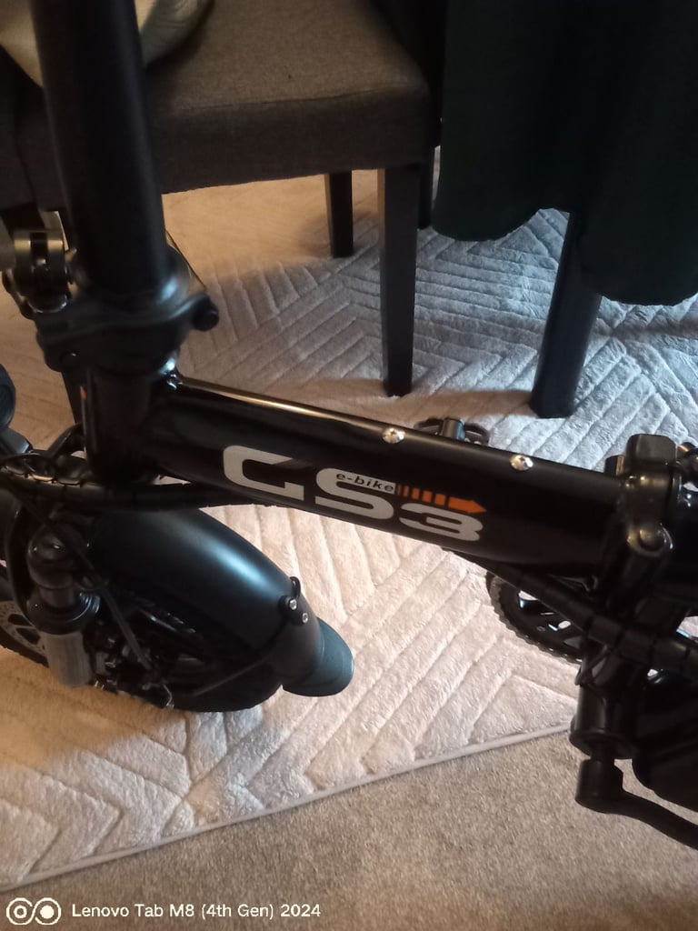 Electrically assisted bicycle