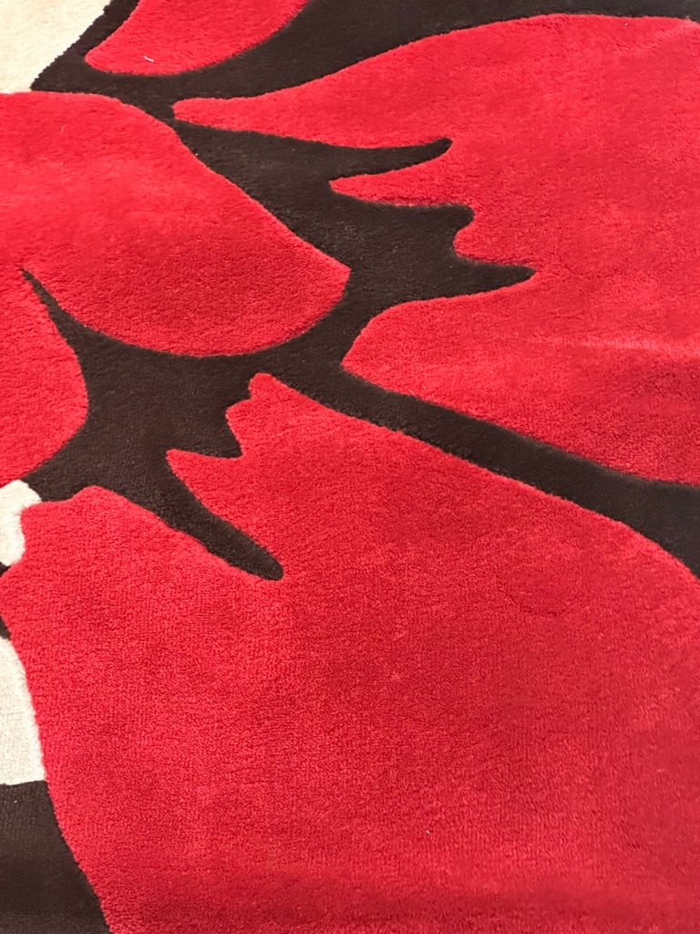 VERY LARGE RUG - FREE DELIVERY IN LOCAL AREA 