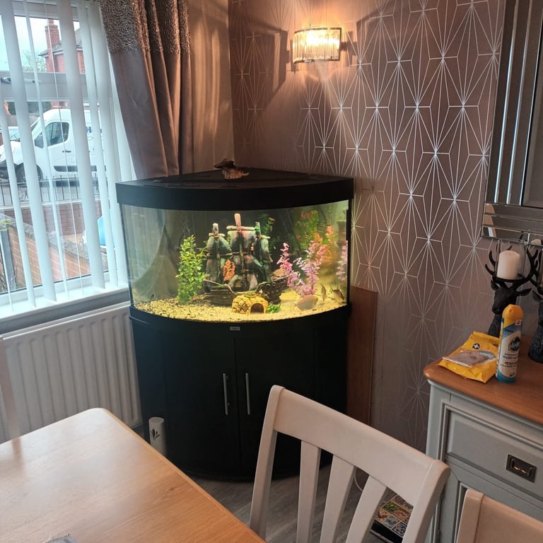 190l corner aquarium including fish
