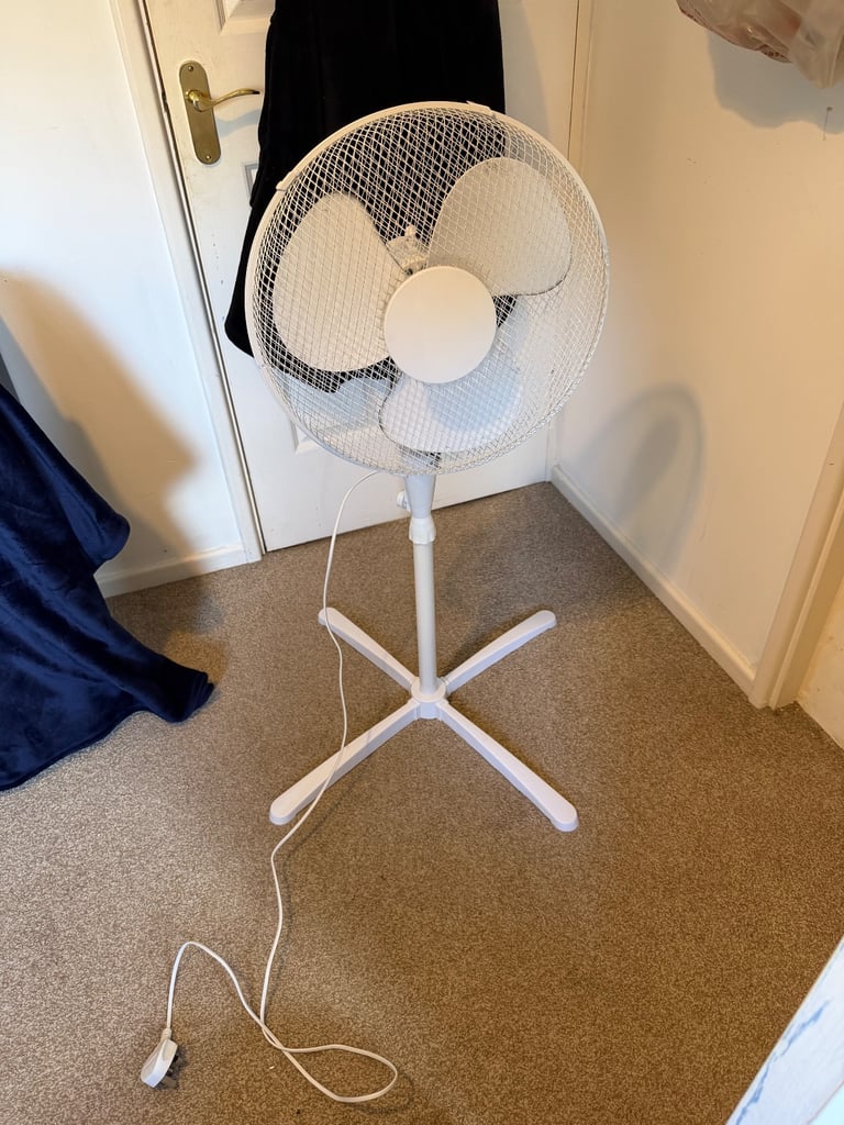 Electric Fan