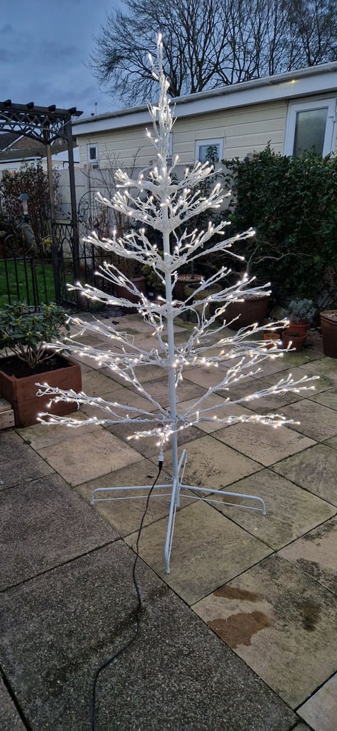 Indoor Outdoor Christmas tree.