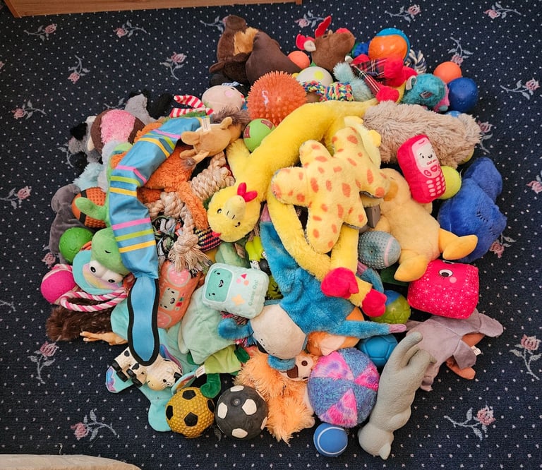 Assortment of dog toy's 