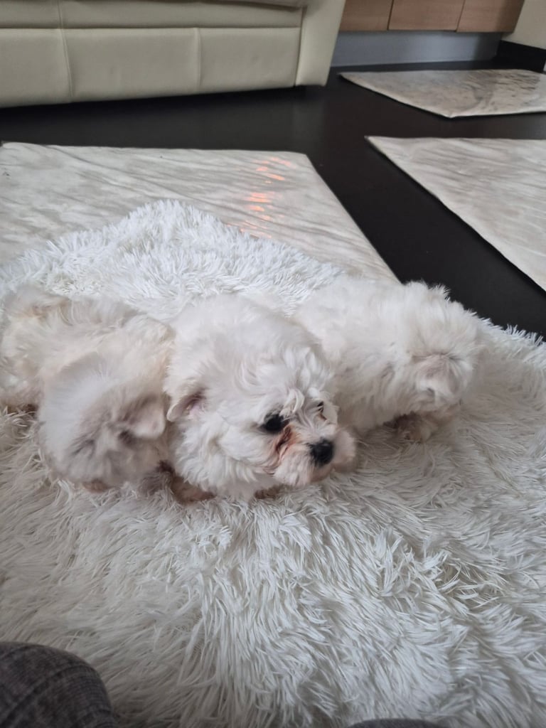 Beijan freeze ready.ready to leave 