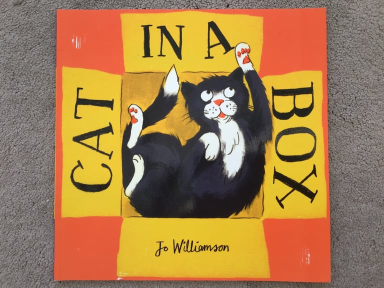 “Cat In A Box” Children’s Paperback Book 