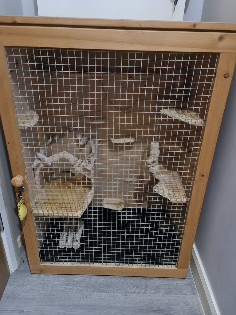 Rodent cage 