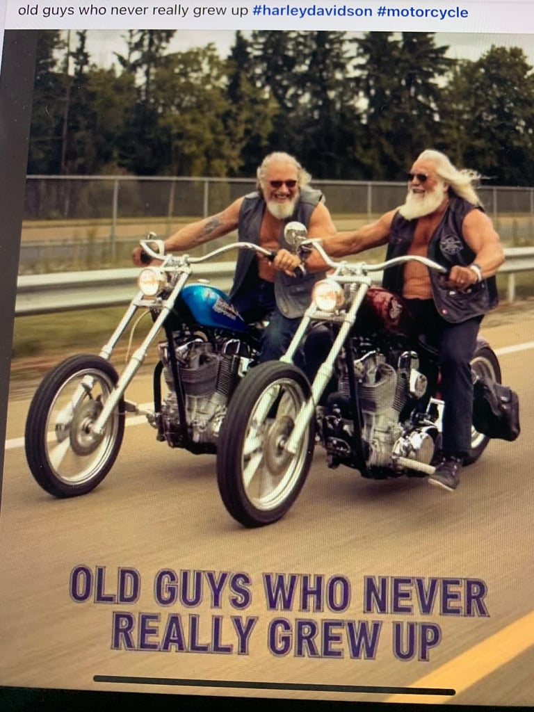 Trike if you want some one to love it like you 