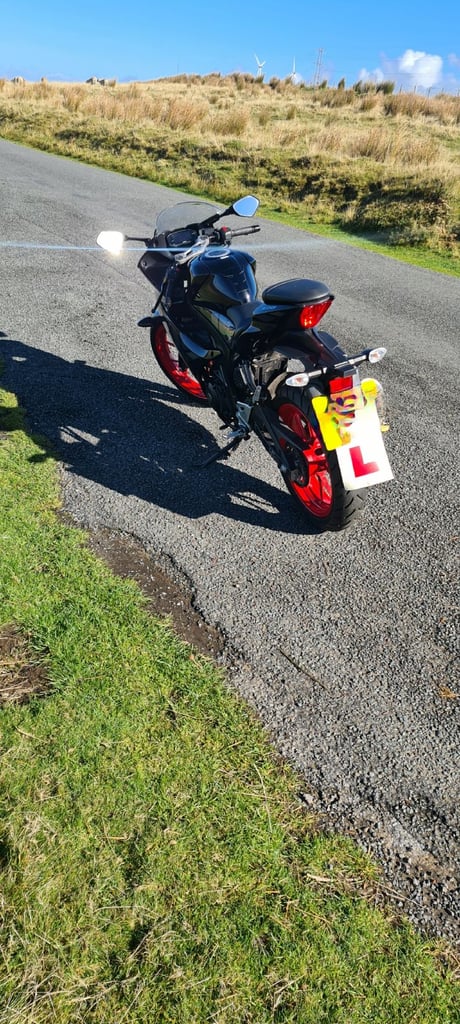 Suzuki, GSX-R, 2023, 124 (cc)