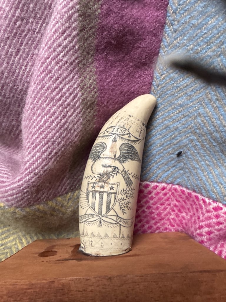image for Scrimshaw whale tooth 