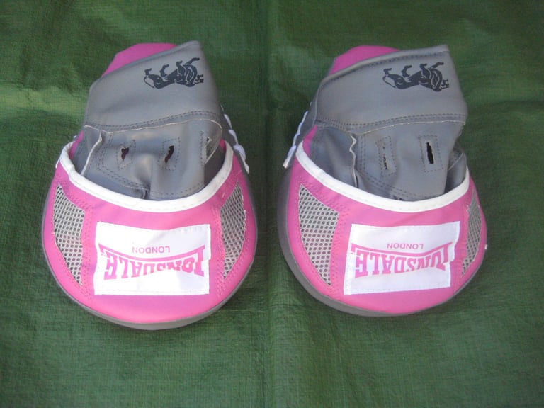 Pair of Boxing Pads for £4.00