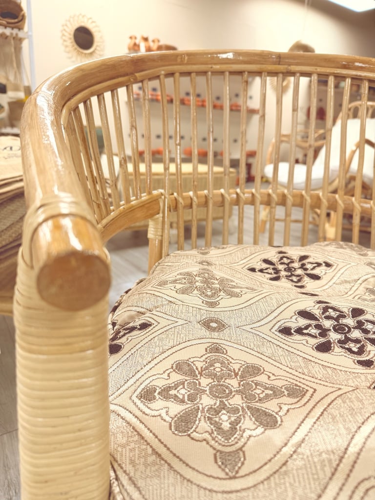 cozy Cane Arm Chair with cushion 