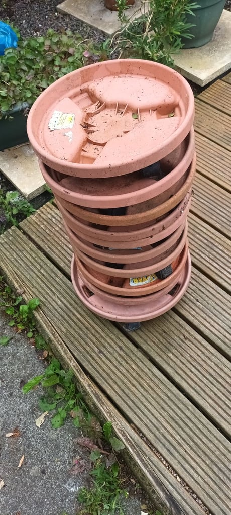 image for Plant movers.