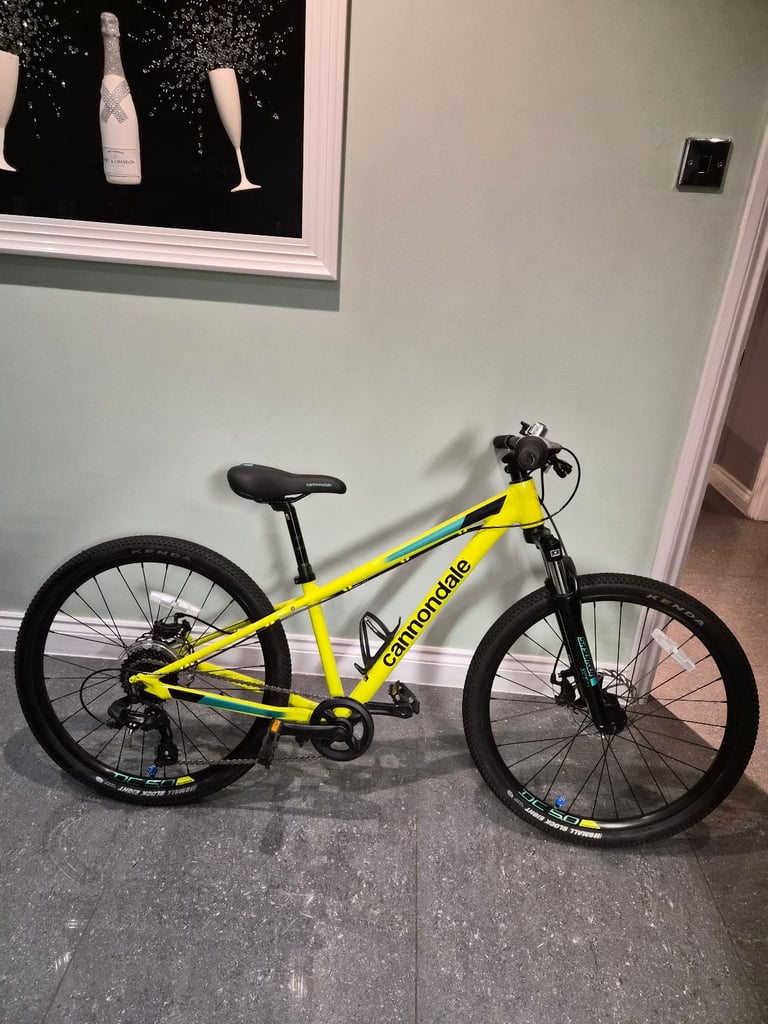 Kids cannondale bike 24"