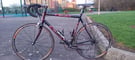 Dolan Full Carbon Road Bike XXL 60cm Full Campagnolo Chorus 10speed Groupo Fast Mavic Equipe Wheels