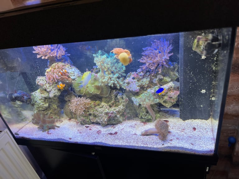 image for Complete 125l marine tank 