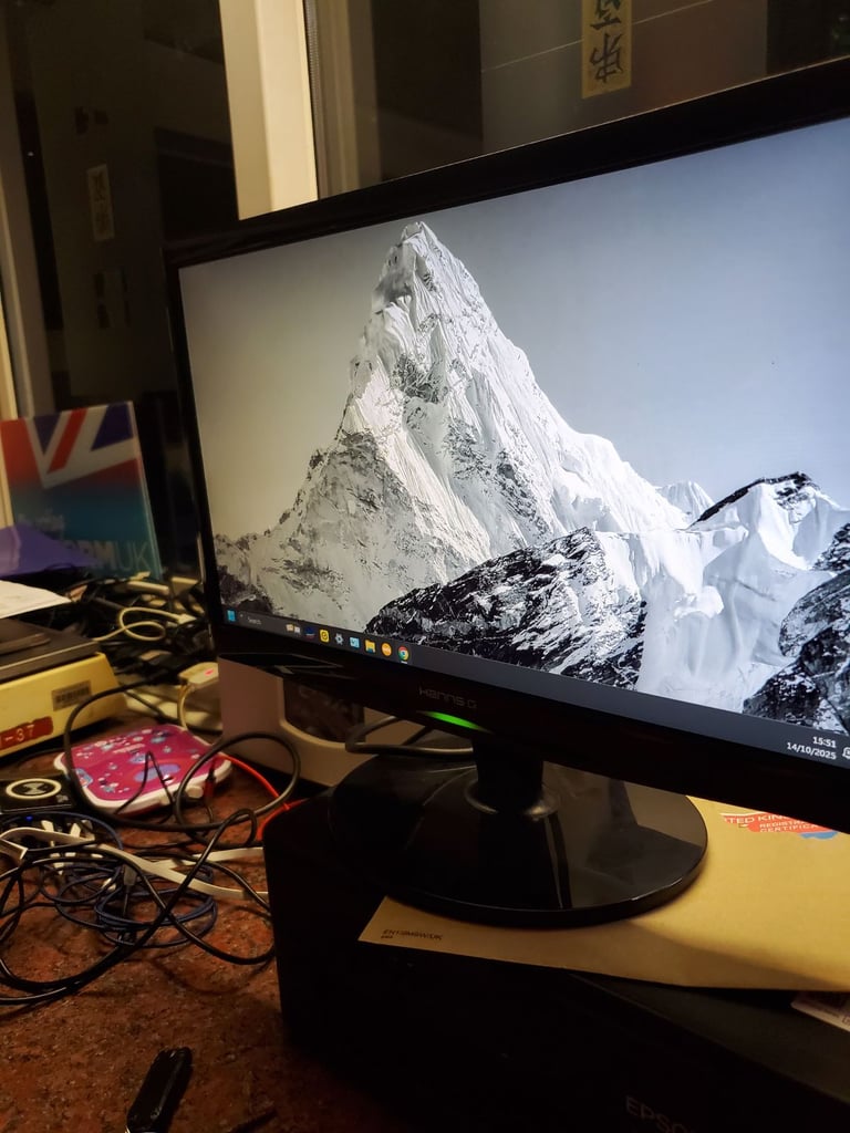 HANNS.G 19 inch monitor 