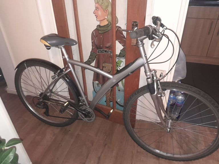 Mens bike 21 inch frame 