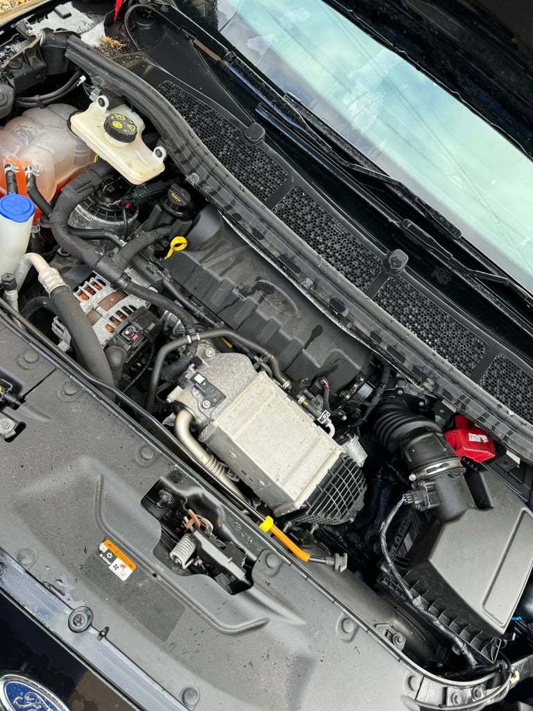 Ford Galaxy zetec ecoblue 2.0 Diesel Automatic 2019(69)