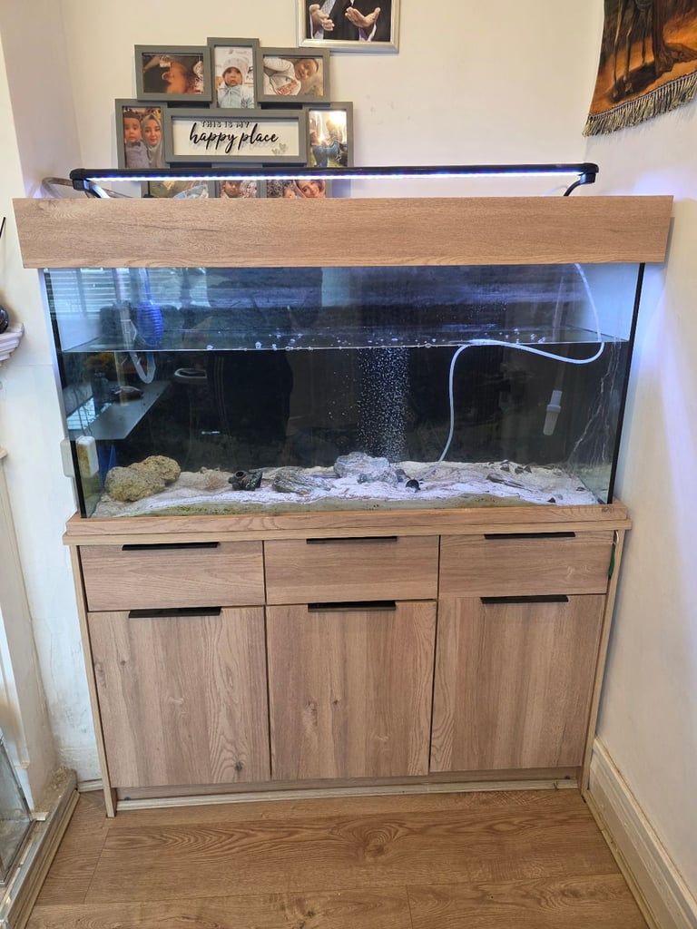 Full fish tank set up. Prestine condition.