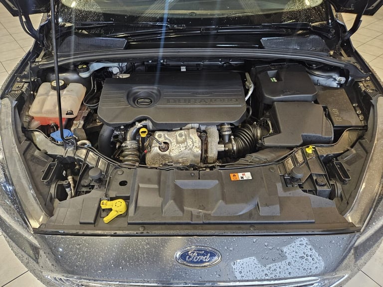 FORD FOCUS 1.5 TDCi Zetec 2016
