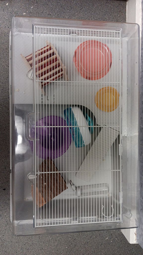 Hamster cage