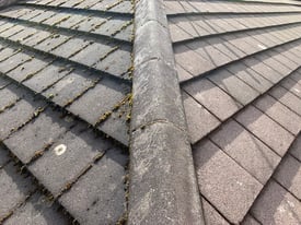 🏠 Roof Cleaning, Roof Scraping & Moss Removal 🏠