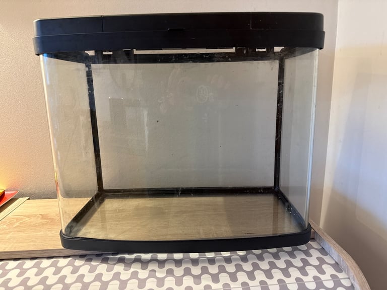 Aquarium and accessories