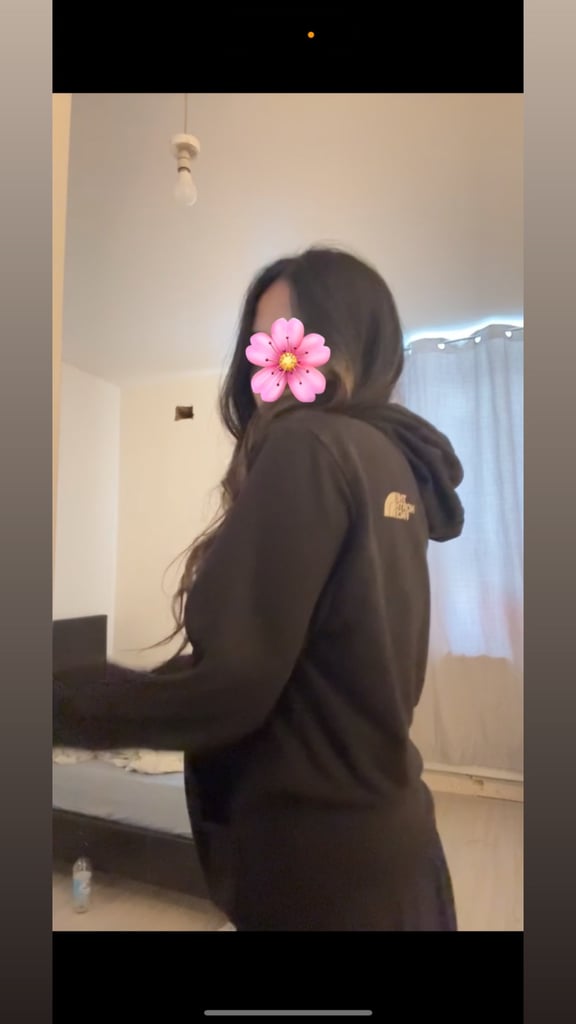 The North Face Hoodie 