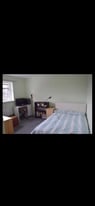 Double Room available to rent in spacious property 