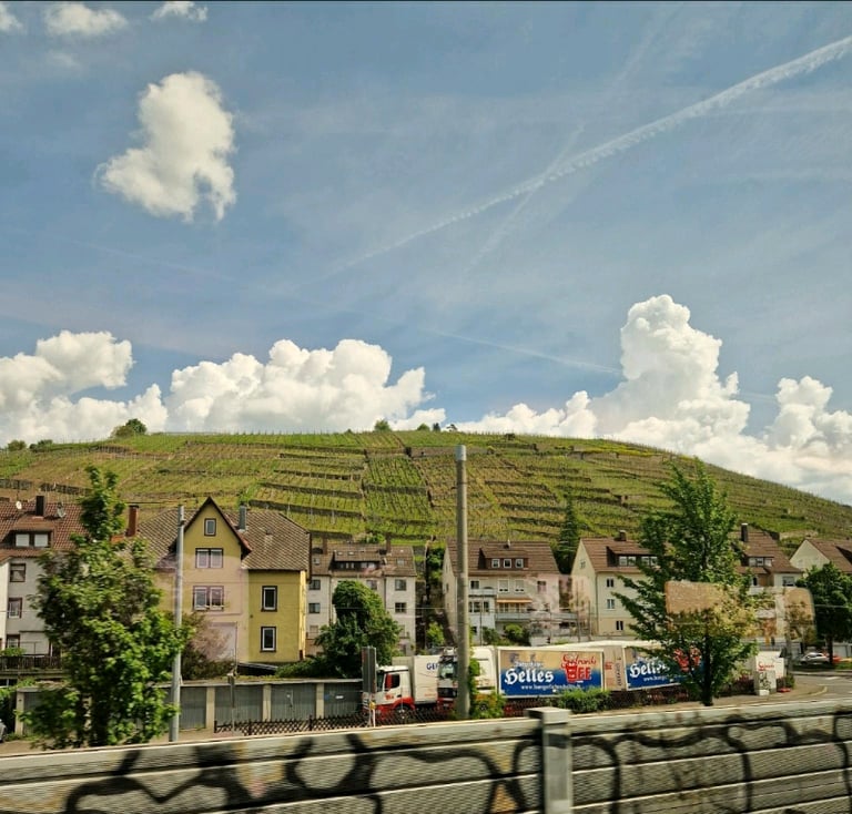 German native offers German tuition: general/business, Nat 5s, Highers, Advanced Highers