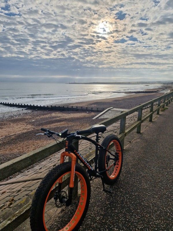 image for Fat bike terminator