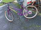 Bicycle Montana Explorer ladies bicycle in good ride away condition.
