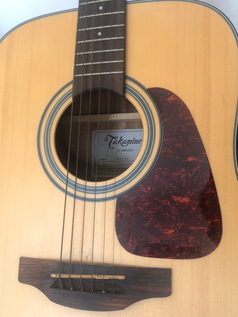 Acoustic Guitar Takamine G series (GD10 NS) + free Gig bag