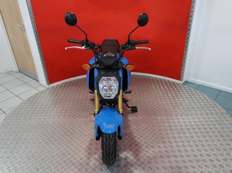 Brand new 2025 Honda MSX125 Grom