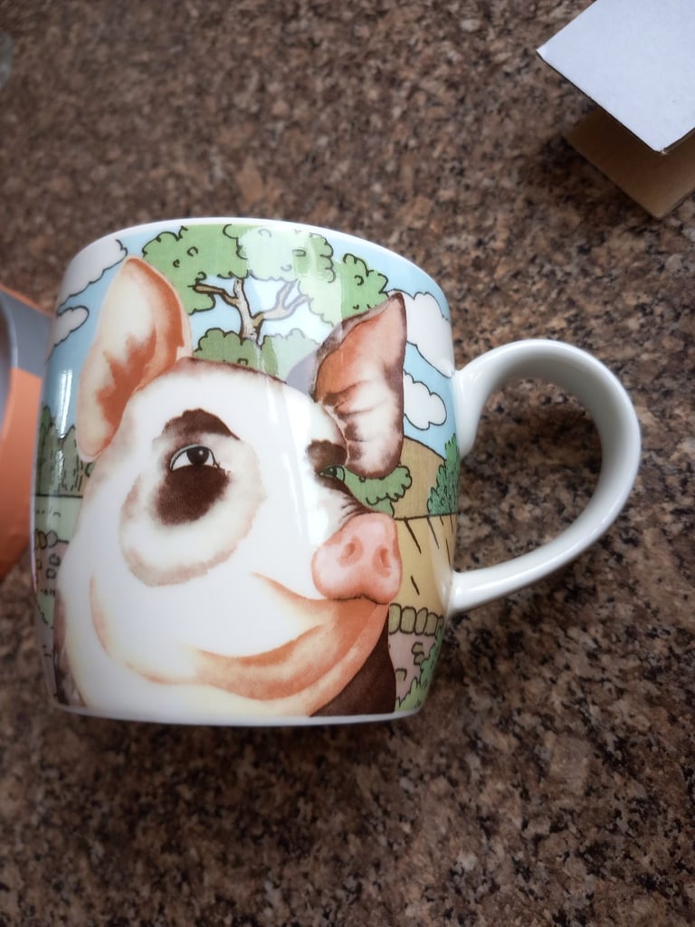 Beautiful Royal Worcester boxed mug