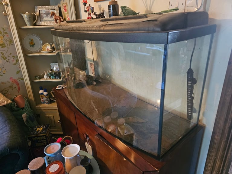 Curved fish tank for sale