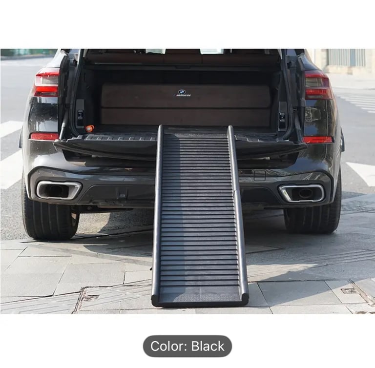 Dog ramp