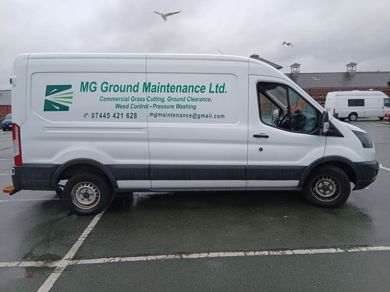 Ford, TRANSIT, Panel Van, 2019, Manual, 1996 (cc)