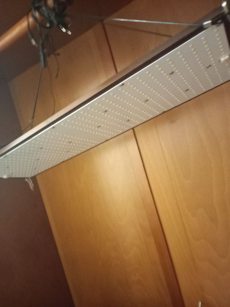 Grow equipment, carbon filter, fan, multiple lights some led