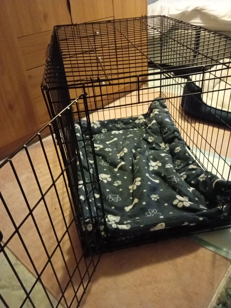 Dog crate 