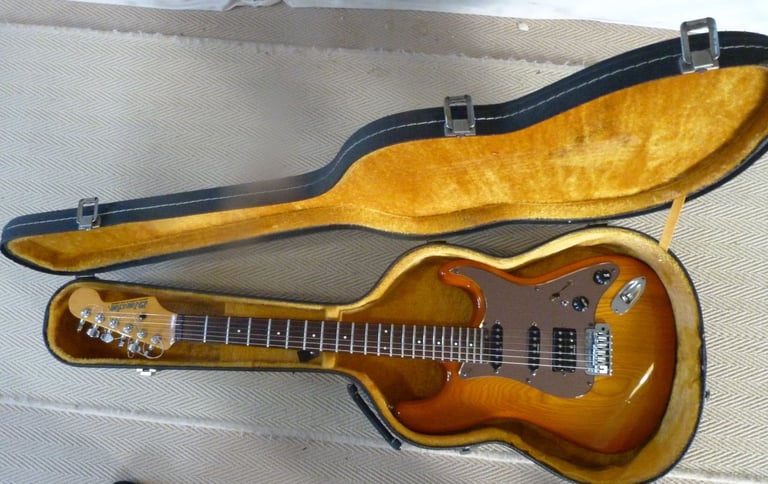 Lined Guitar hard case