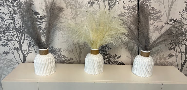 image for 3 vases with papas grass