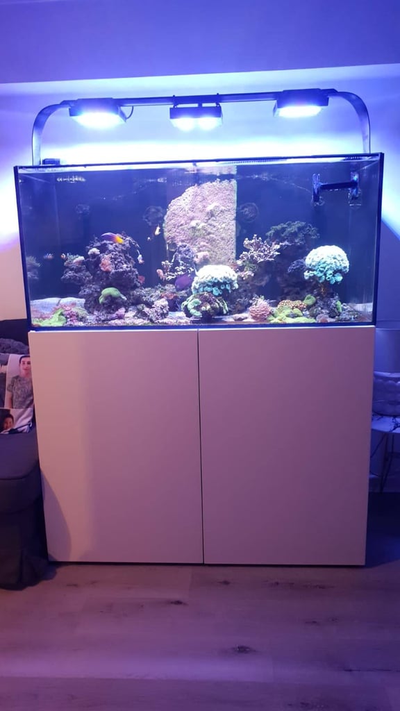 image for Complete Waterbox REEF Aquarium White - REEF 130.4 for sell