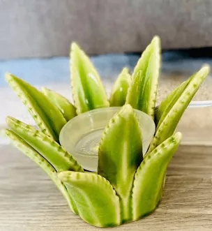 image for Scentsy aloe Vera warmer (new and boxed)