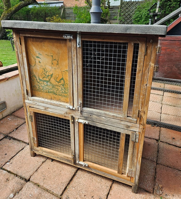 Dwarf rabbit/guinea pig hutch