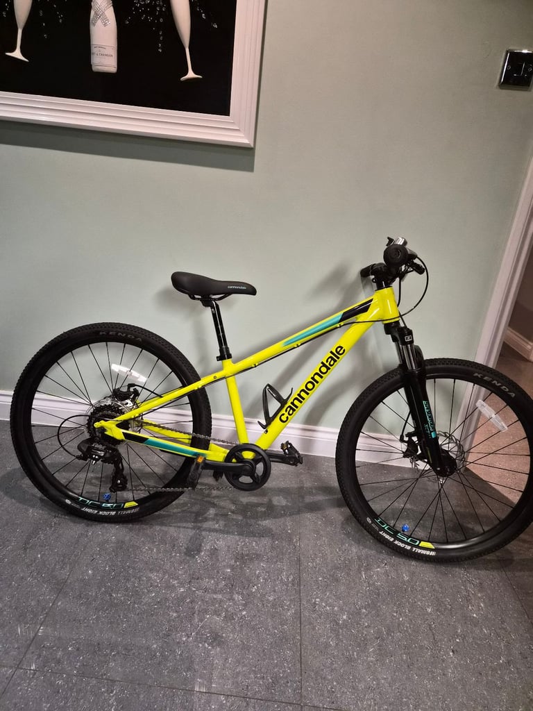 Kids cannondale bike 24"