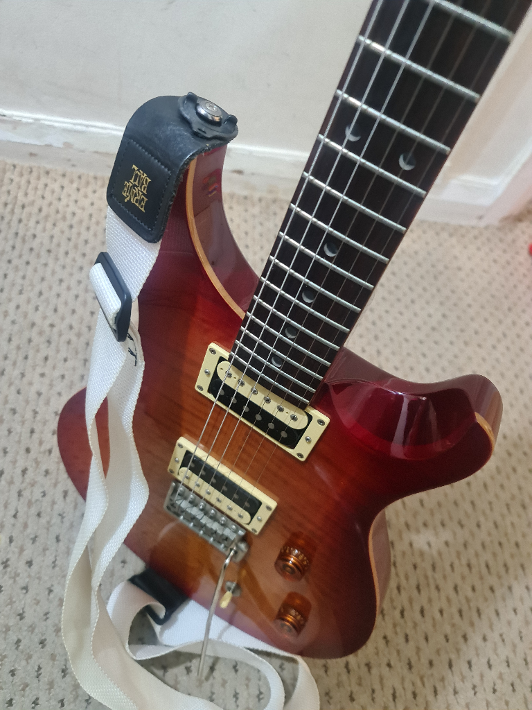 PRS SE CUSTOM 22 Electric Guitar