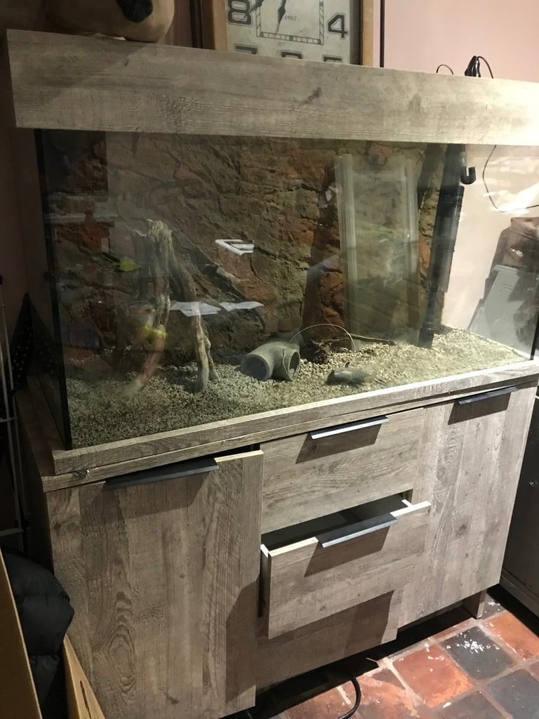 Large fish tank all items including 