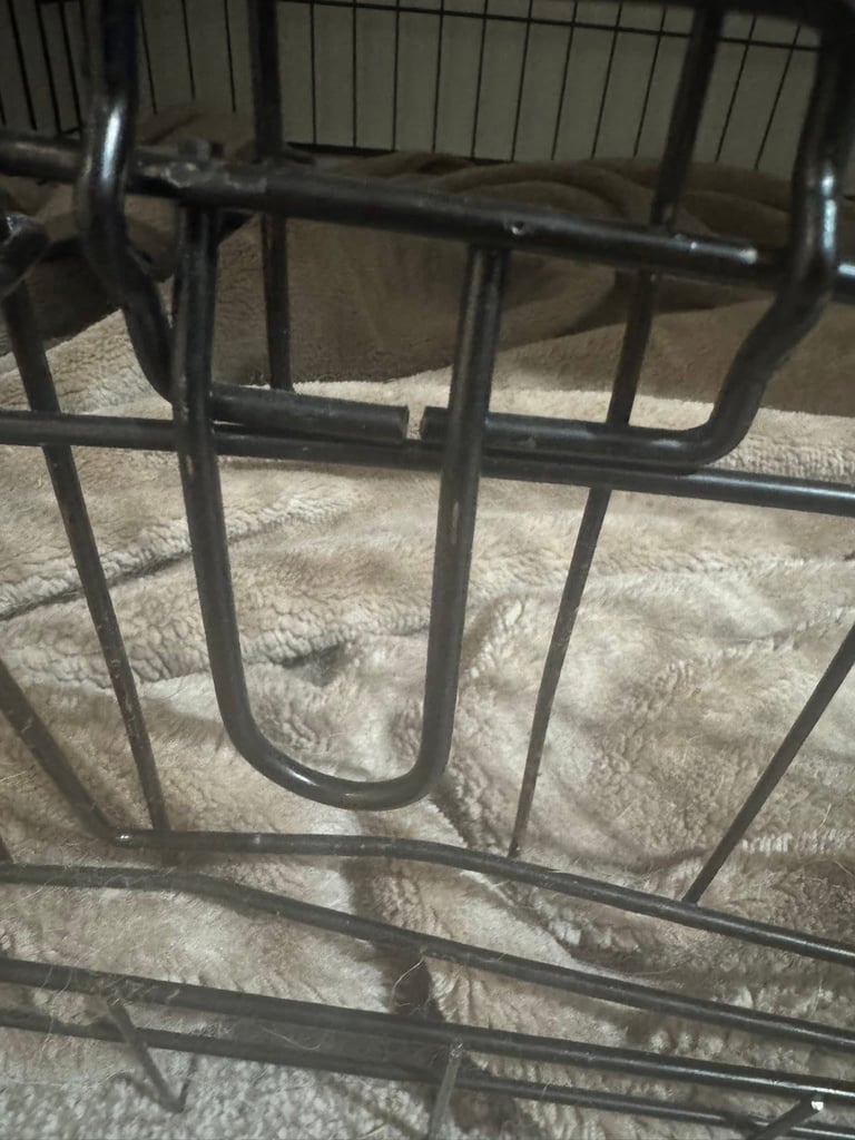 Large dog crate 