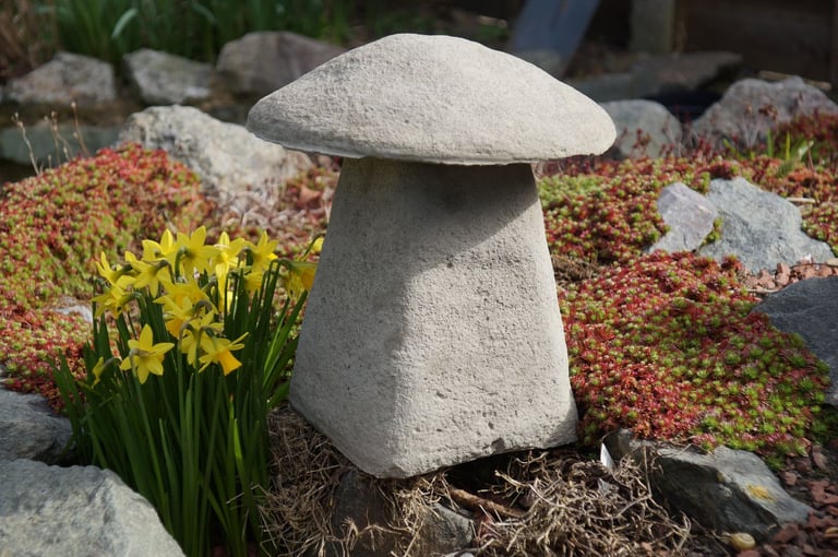 image for A very realistic small staddle sto